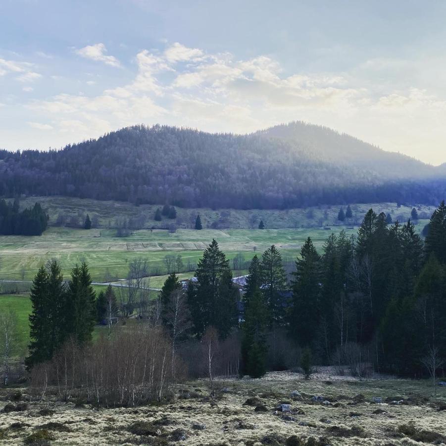 Hotel Hirschen Menzenschwand-Hinterdorf Kültér fotó