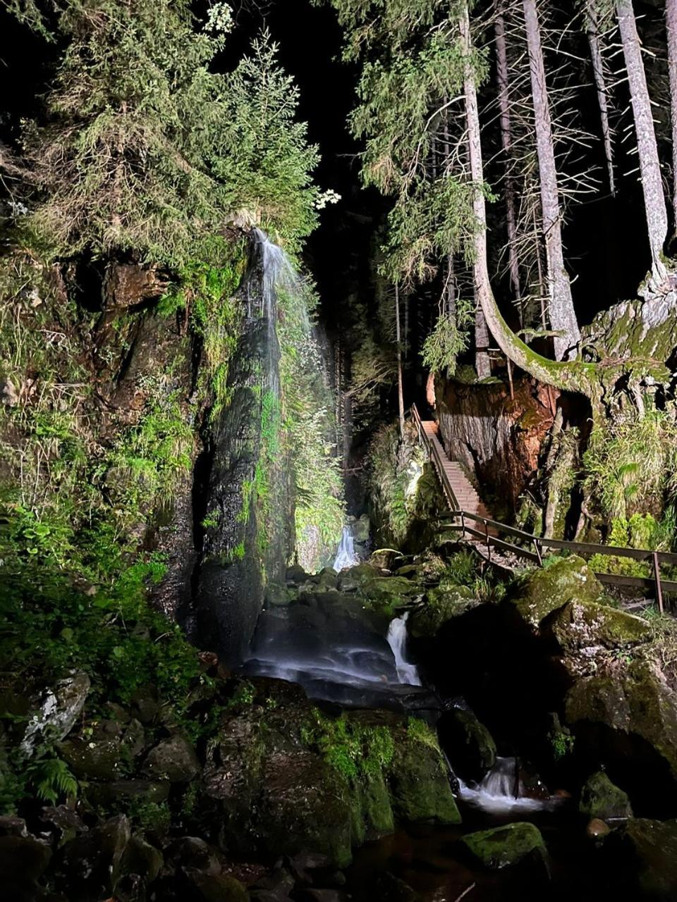Hotel Hirschen Menzenschwand-Hinterdorf Kültér fotó