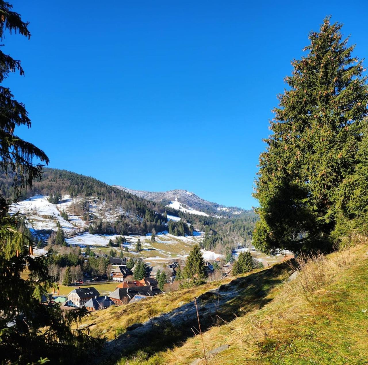 Hotel Hirschen Menzenschwand-Hinterdorf Kültér fotó