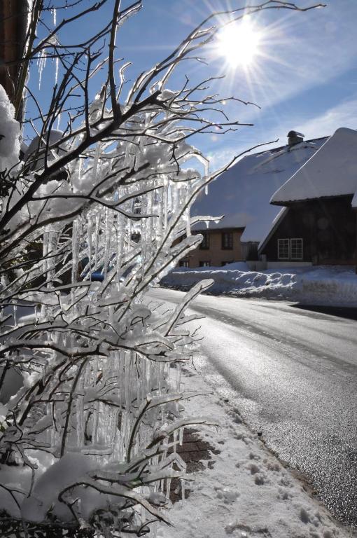 Hotel Hirschen Menzenschwand-Hinterdorf Kültér fotó